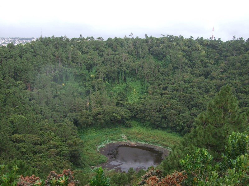 Mauritius 2010 - 0340 